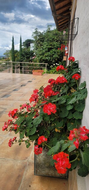 Exterior detail - Private Studio at Tumbaco

 (Tumbaco)