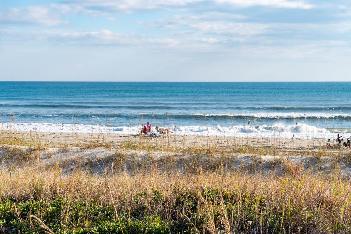A beach with people relaxing on the sand, waves in the background, and vegetation in the foreground.