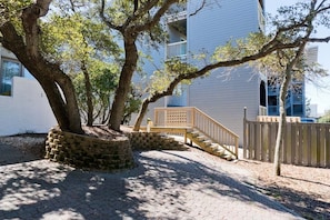 Stroll through the tranquil outdoor space, surrounded by tall trees and a beautifully designed walkway.