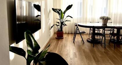 Two Bedroom Apartment