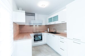 Fridge, oven, stovetop, dishwasher