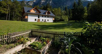 Apartments Goldhorn Kingdom - Two bedroom apartment with Balcony (D)