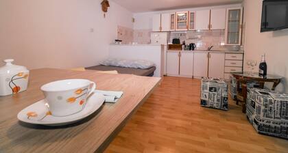 Studio Apartment Fri in Piran