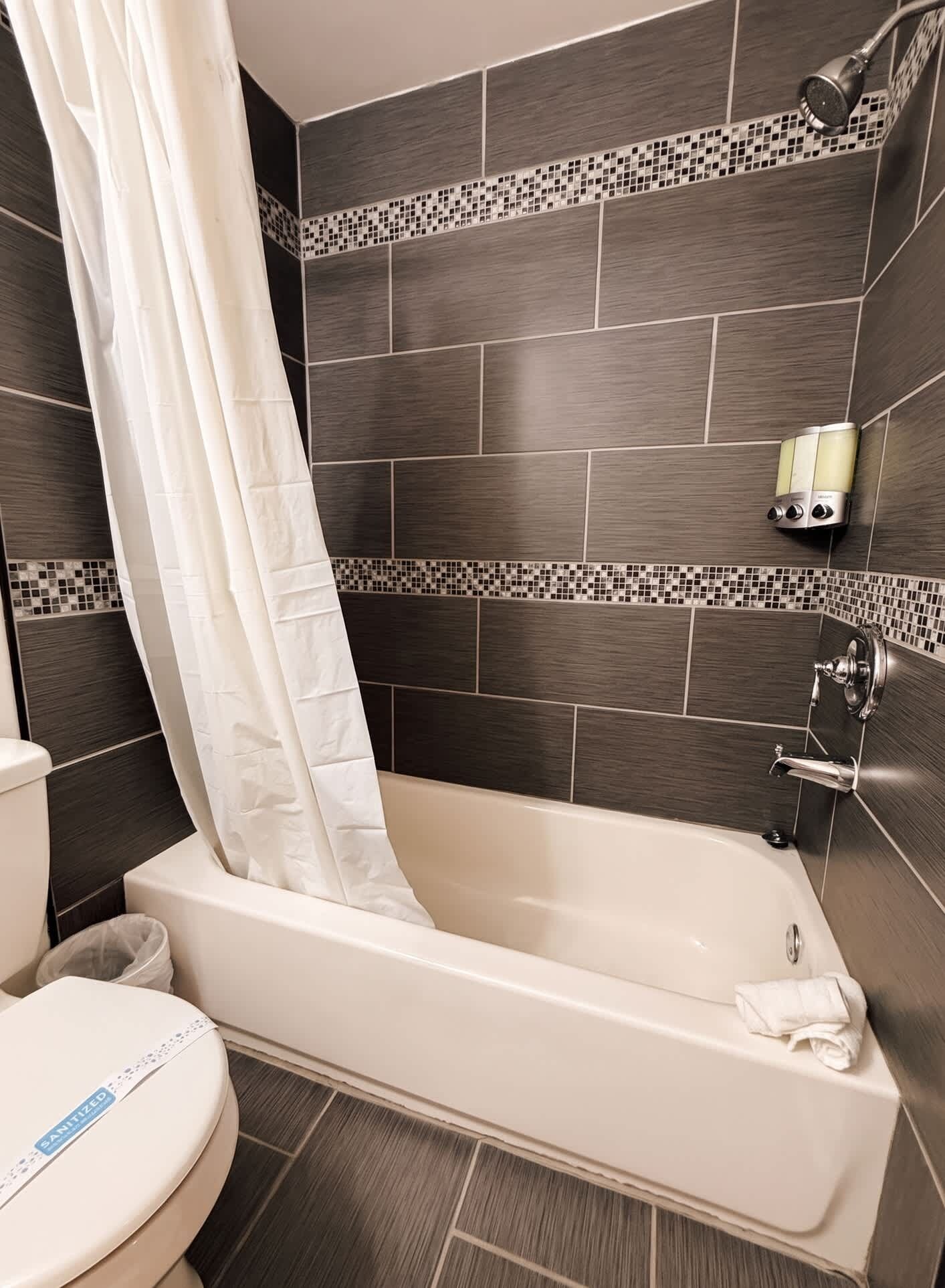 A bathroom with a bathtub, a toilet, and a shower.