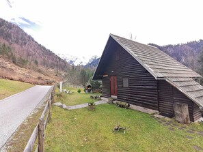 Exterior - Cottage Hidden Pearl - One bedroom cottage (Zgornje Jezersko)