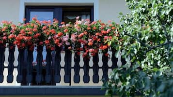 Detalle del exterior