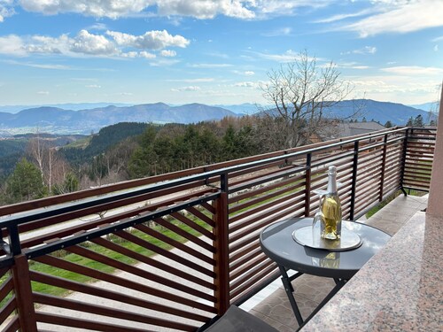 Panorama Apartment - One Bedroom Apartment with Balcony