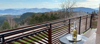 Panorama Apartment - One Bedroom Apartment with Balcony