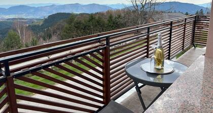 Panorama Apartment - One Bedroom Apartment with Balcony