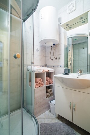 Regadera, secadora de cabello, toallas, papel de baño 