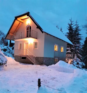 Exterior - Holiday Home Kali in the pinewood forest of Pohorje (Pohorje)