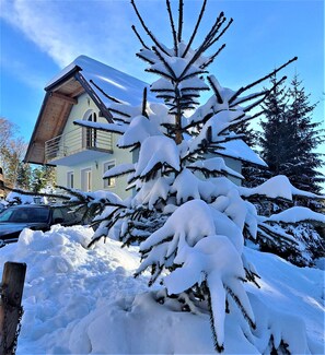 Property grounds - Holiday Home Kali in the pinewood forest of Pohorje (Pohorje)