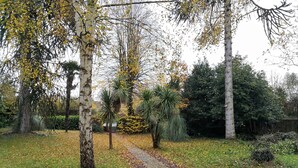 Een pad in een park met bomen en begroeiing.