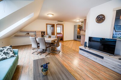 Apartment RimljanÄek