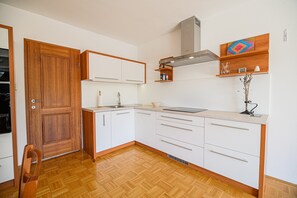 Fridge, microwave, oven, coffee/tea maker - One bedroom apartment with terrace (Podcetrtek)