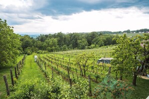 Property grounds - One Bedroom Apartment (Metlika)