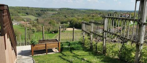 Àrea exterior de l'allotjament