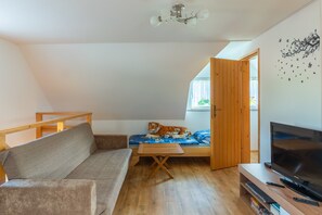 電視、DVD 播放機、書籍