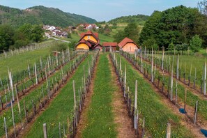 Pool - Holiday Home Lanita with Amazing Views (Podbočje)