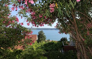 Property grounds - One Bedroom Apartment B (Portoroz)