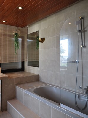 Secadora de cabello, toallas, jabón, papel de baño 