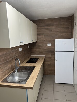 Fridge, cookware/dishes/utensils - One Bedroom Apartment (Zirovnica)