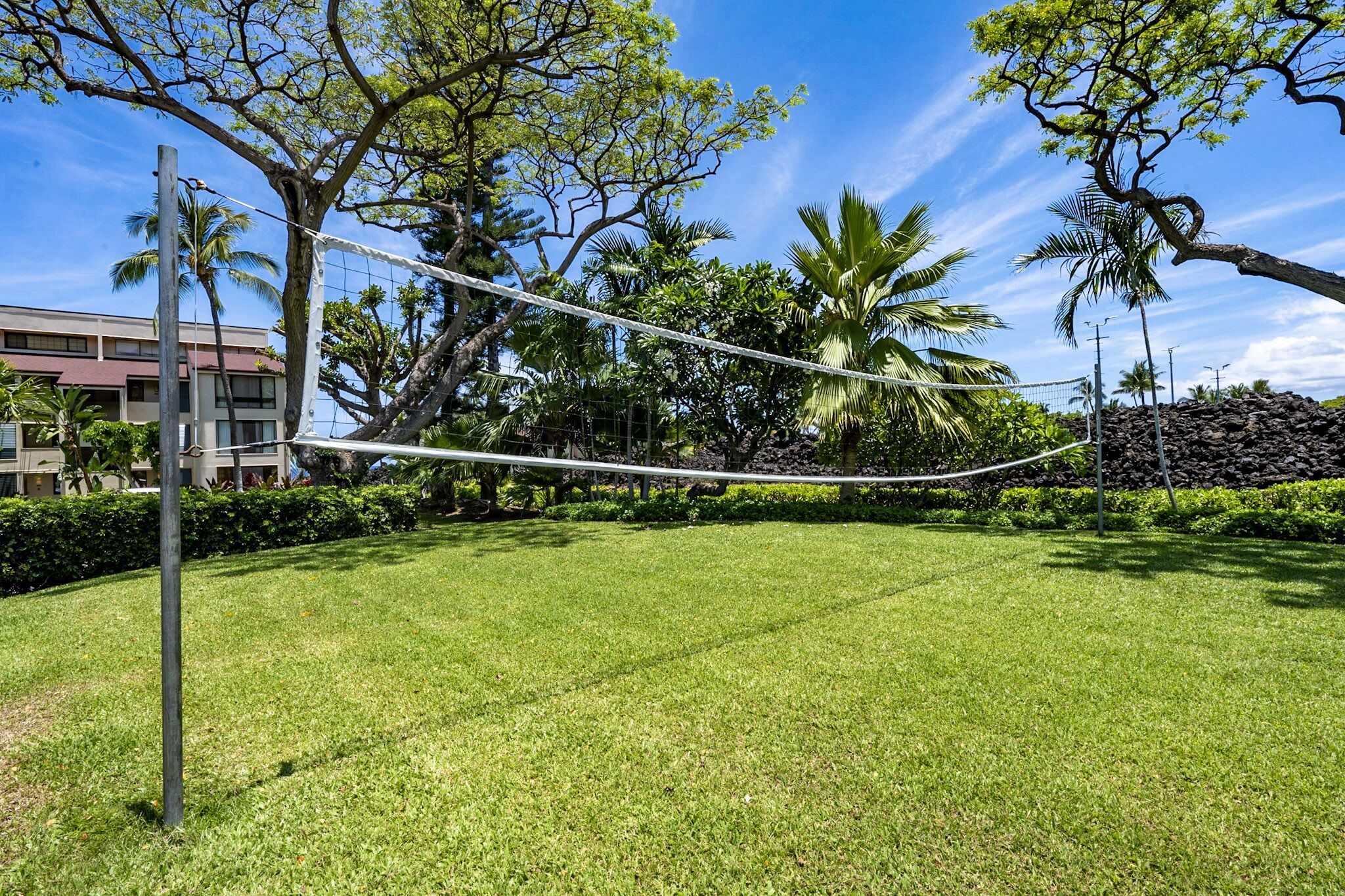 Een verzorgd gazon met een volleybalnet, omringd door weelderige begroeiing en palmbomen, wat wijst op een recreatiegebied, mogelijk bij een hotel of resort.