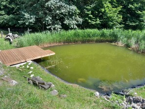 Property grounds - One Bedroom Apartment with Terrace (Sevnica)