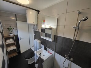 Shower, hair dryer, towels