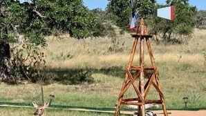 A deer in a grassy field with a wooden structure in the background. - Holy Cow Cottage w/Amazing Hill Country Views (Fredericksburg)