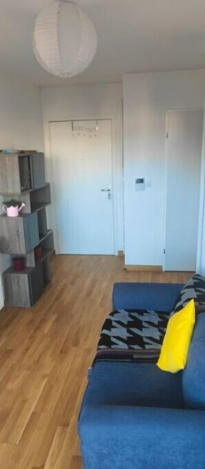 Smart TV - Furnished new flat in CLAMRT  (Clamart)