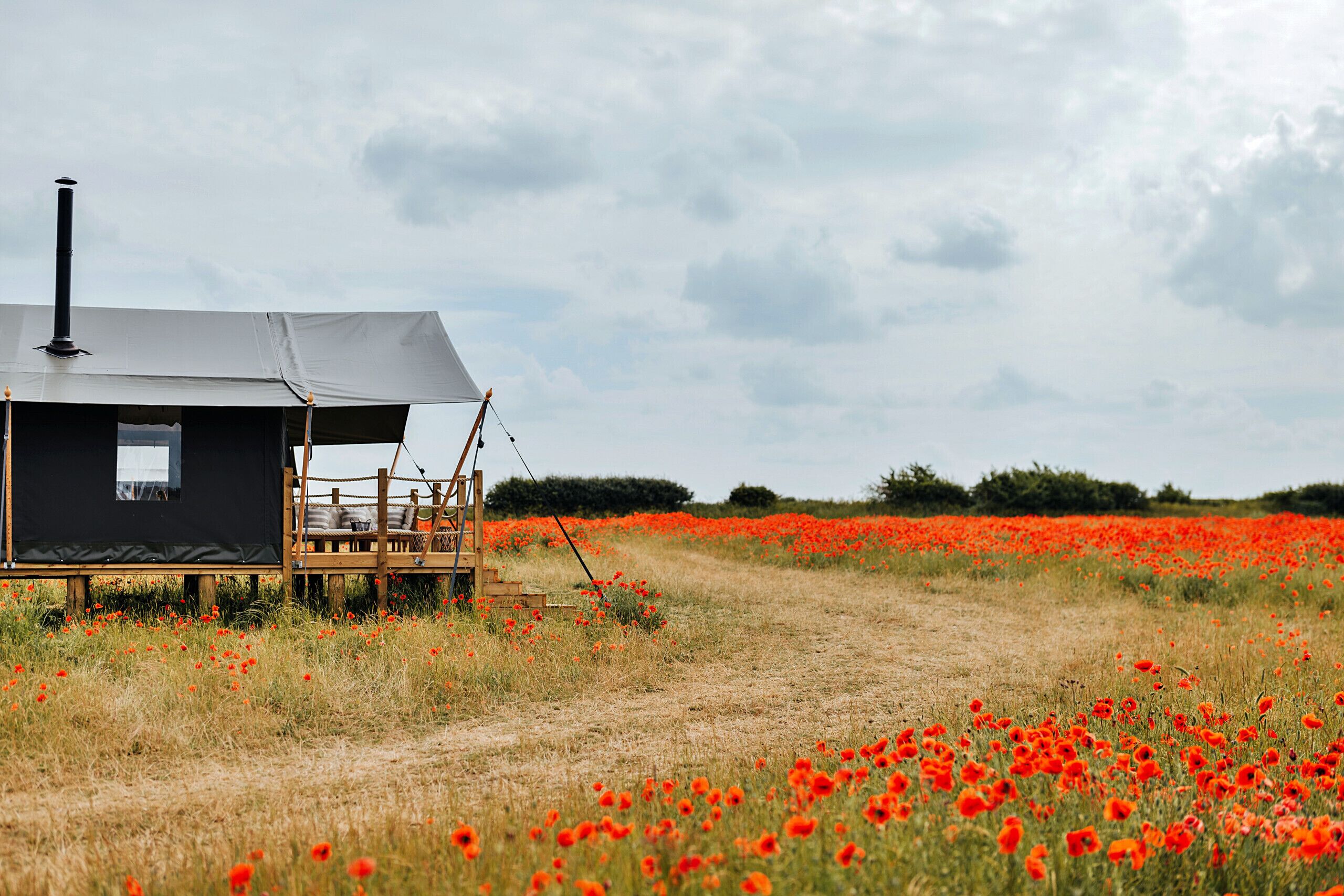 A black cabin with a chimney, surrounded by a field of red poppies, under a cloudy sky.