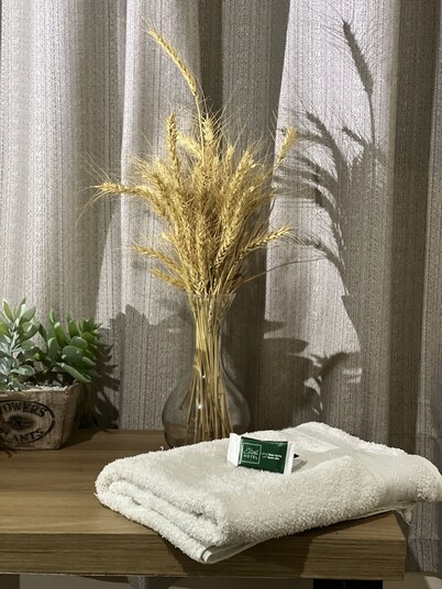 Hotel Elithi