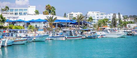 Apartment, 1 Bedroom, Balcony | Exterior