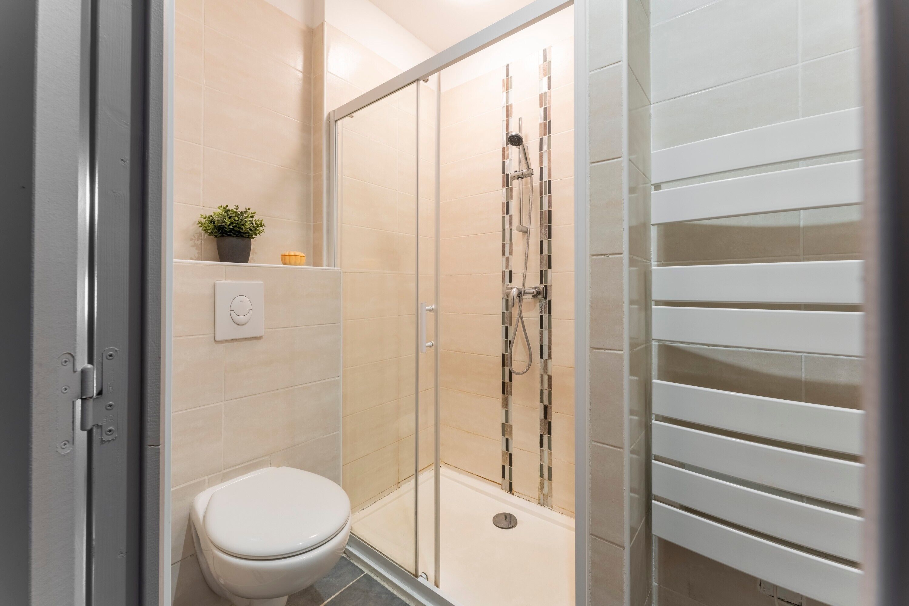 Shower, hair dryer, towels