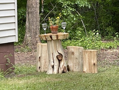 Private Cedar Retreat Secluded Yard Near Pictured Rocks & Munising