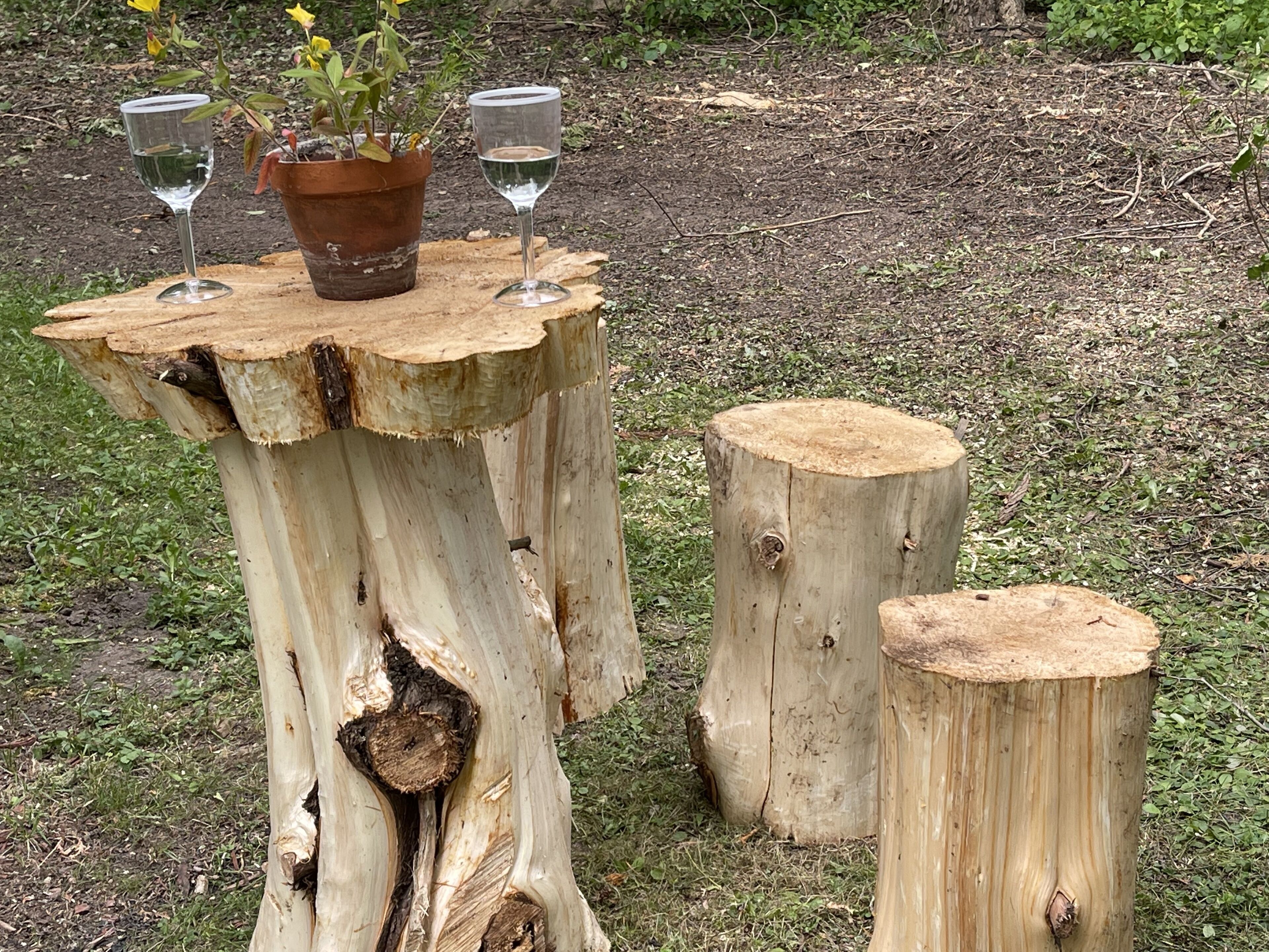 Ein rustikaler Holztisch mit einem Blumentopf und zwei Wassergläsern.