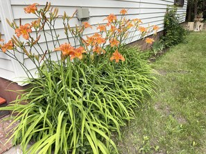 Details aan de buitenkant