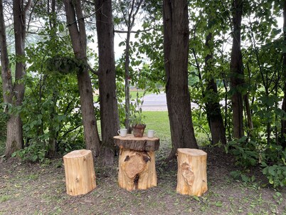 Cedar Glen centrally located peaceful setting near to Pictured Rocks!

