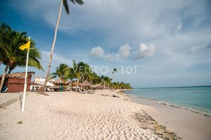 Beach - Cozy apartment located on the beachfront.
(La Altagracia)