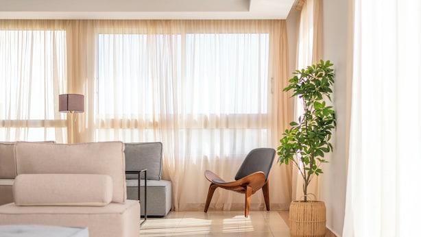 Ein modernes Wohnzimmer mit einer Couch, einem Sessel und einer Zimmerpflanze.