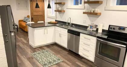 Clean Modern Downtown Apartment- All New Rear Unit
