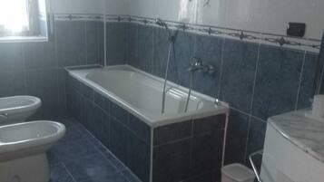 Shower, hair dryer, bidet, towels