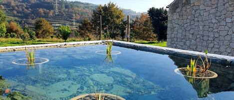 Una piscina al aire libre, una piscina climatizada