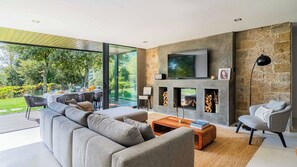 Smart TV, fireplace, books, music library