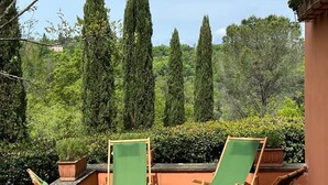A patio with two green lawn chairs and a potted plant.
