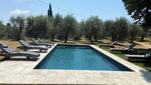 A rectangular swimming pool with a tiled edge, surrounded by a grassy area with several lounge chairs aligned along the pool's edge.