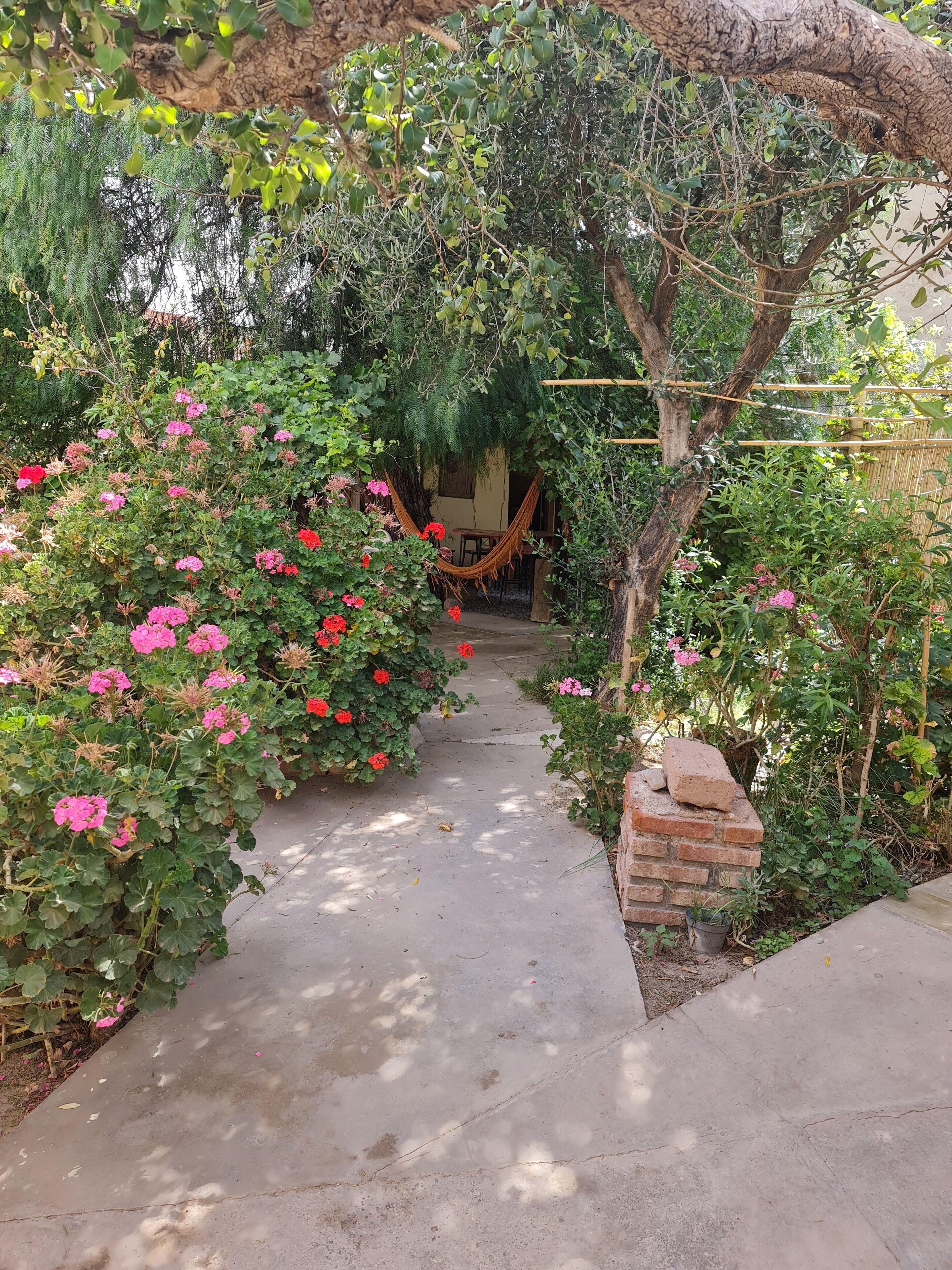 Un chemin en béton mène à un hamac installé sous une pergola, le tout étant entouré d’une végétation luxuriante et de plantes en fleurs.