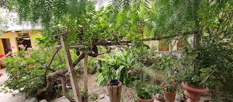 Andino Hostel