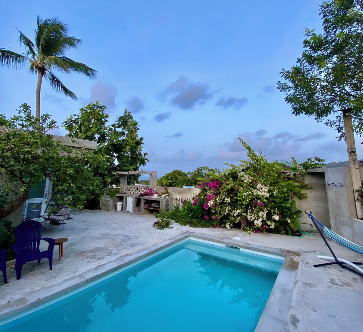 Imagen de perfil del propietario o de la propietaria